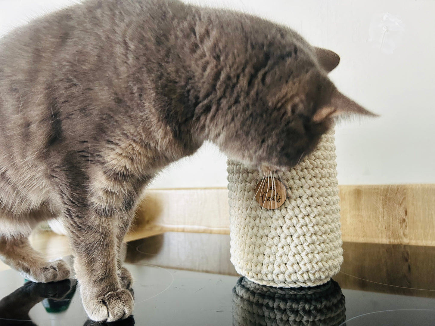 Cat Treat Jar